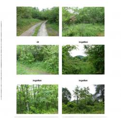 Eladó Zártkerti ingatlan - előzetes regisztráció szükséges