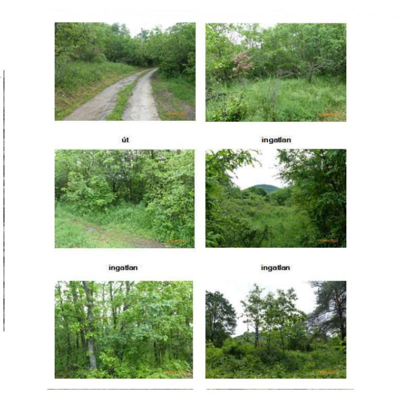 Eladó Zártkerti ingatlan - előzetes regisztráció szükséges