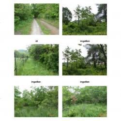 Eladó Zártkerti ingatlan - előzetes regisztráció szükséges