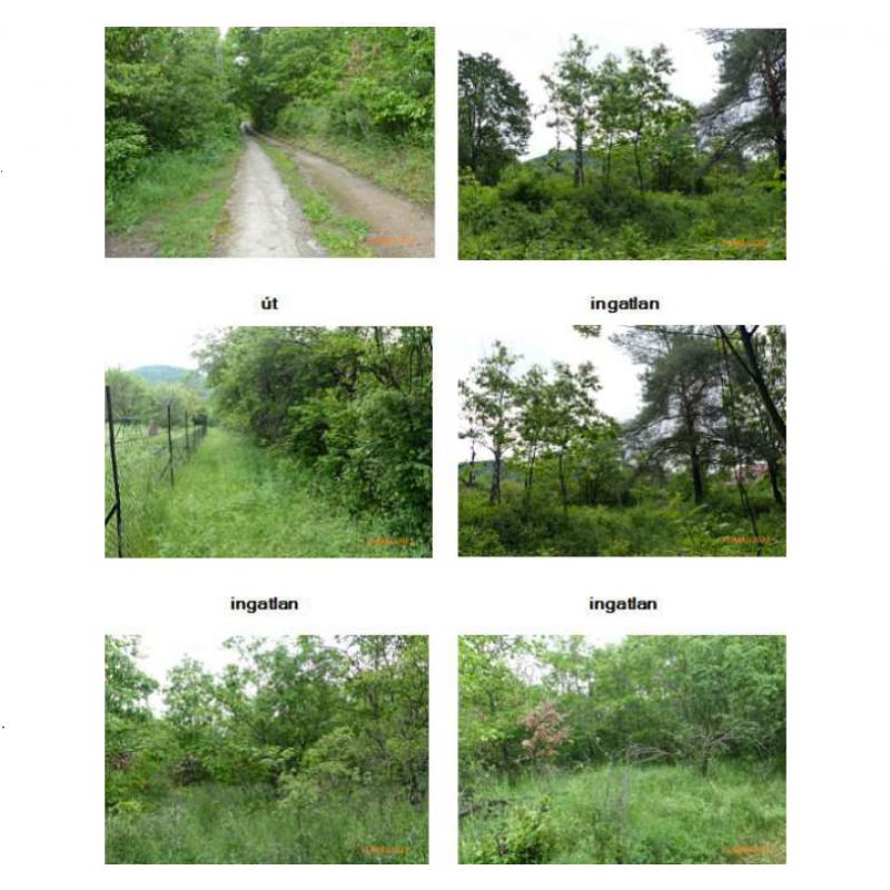 Eladó Zártkerti ingatlan - előzetes regisztráció szükséges