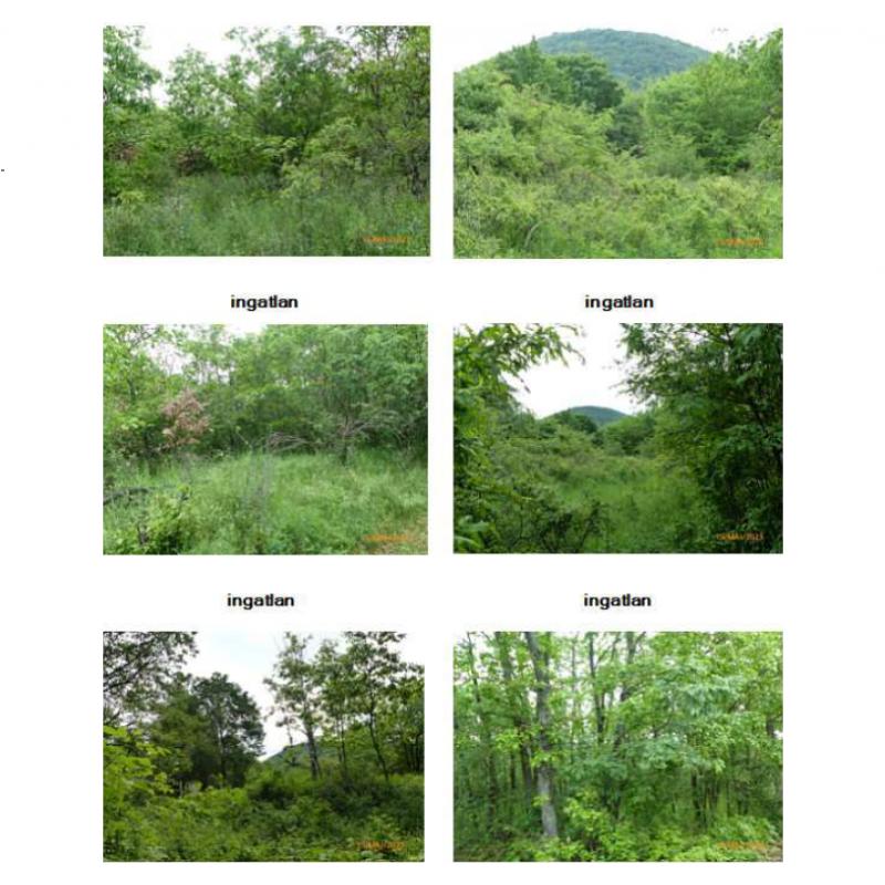 Eladó Zártkerti ingatlan - előzetes regisztráció szükséges